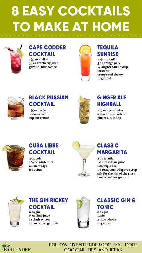 Easy Cocktails Easy At Home Cocktail Recipes, Easy Diy Cocktails, Simply Cocktails Drink Recipes, Homemade Cocktails Recipes, Easy Drink To Make At Home, Simple Cocktails Recipes, Easy Homemade Cocktails, Drinks To Make At Home Alcoholic, How To Make A Cocktail