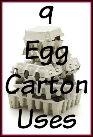 9 Egg Carton Uses www.yourhealthyyear.com Egg Carton Uses, Diy Recycled Projects, Egg Cartons, Egg Carton Crafts, Toilet Paper Roll Crafts, Paper Roll Crafts, Recycled Projects, Diy Recycle, Egg Carton