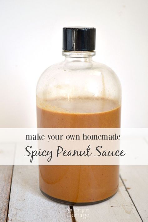 A mildly spicy peanut sauce based on the ingredients of a favorite store brand, but without any junk and easily made at home! Chinese Sauce, Homemade Peanut Sauce, Peanut Sauce Recipe, Spicy Peanut Sauce, Peanut Butter Honey, Spicy Peanuts, Spicy Sauce, Peanut Sauce, Salad Dressings