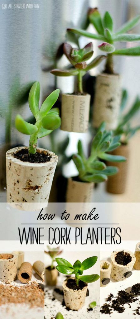 Wine Cork Diy Projects, Cork Magnet, Cork Planters, Cork Diy Projects, Wood Succulent Planter, Wine Cork Diy Crafts, Wine Cork Projects, Wine Cork Diy, Cork Projects