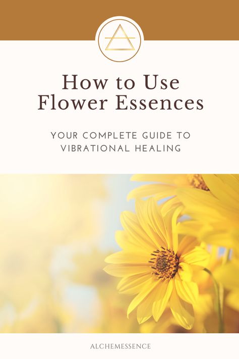 Haircare Ideas, Herb Remedies, Flower Essences Remedies, Brand Moodboard, Flower Remedies, Flower Magic, Bach Flower Remedies, Aromatherapy Recipes, Flower Remedy