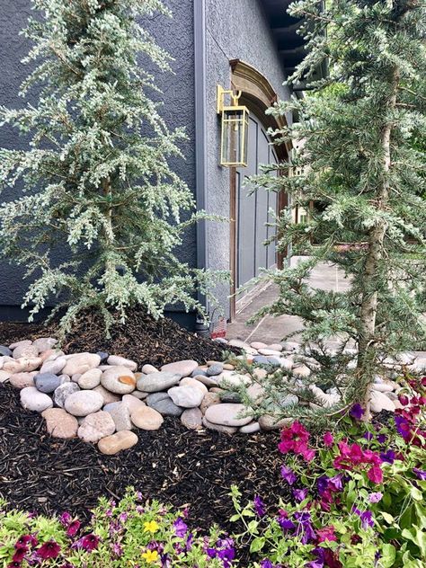 Simple Landscaping Ideas! • Jennifer Allwood Colorado Landscaping, Simple Landscaping Ideas, Jennifer Allwood, Simple Landscaping, Lifestyle Influencer, Farmhouse Landscaping, Easy Landscaping, Front Landscaping, Landscape Plans