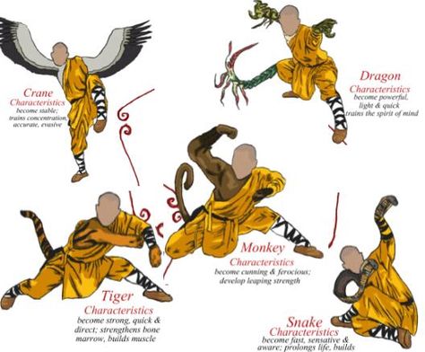 Shaolin Kung fu Techniques and Training in China - Learn Shaolin Kungfu in China Kung Fu Learning, Kung Fu Animal Styles, Monkey Style Kung Fu, Kung Fu Tiger Style, Shaolin Kung Fu Training, Tiger Style Kung Fu, Shaolin Monk Art, Kung Fu Workout, Kungfu Training