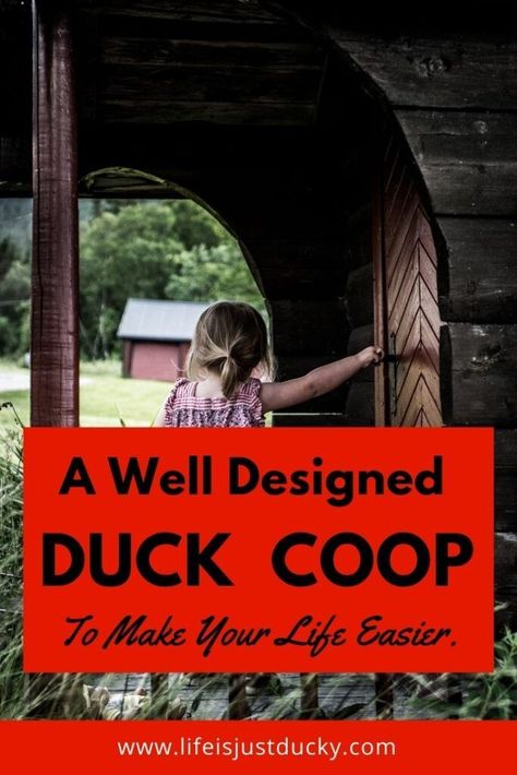 What does your well designed duck coop need? What makes a duck coop a duck home. Learn what you need to include for your duck's health and safety. Duck House Diy, Duck Enclosure, Duck House Plans, Duck Houses, Backyard Homesteading, Duck Home, Duck Pens, Backyard Ducks, Duck Coop