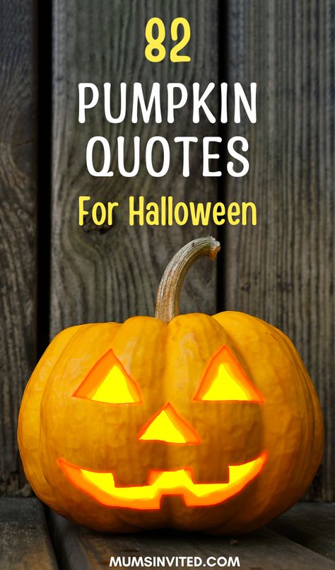 This round up of aesthetic pumpkin quotes has the perfect blend of cute and funny sayings to make kids smile. From happy pumpkin patch quotes to Halloween-inspired pumpkin captions perfect for Instagram. , These pumpkin season quotes remind us to savor the essence of the fall season. Save these cute pumpkin quotes and sayings to inspire you in the mornings or while carving or smashing pumpkins. These pumpkin quotes for babies are perfect to celebrate Halloween or even Thanksgiving. Pumpkin Season Quotes, Cute Pumpkin Quotes, Pumpkin Sayings, Quotes For Halloween, Carving Quotes, Lantern Quotes, Patch Quotes, Pumpkin Quotes, Scary Quotes