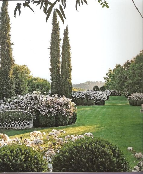 Fast Growing Pine Trees, Country Garden Design, Mediterranean Landscape, Mediterranean Landscaping, Estate Garden, Rose Hill, Classic Garden, Italian Garden, Moon Garden