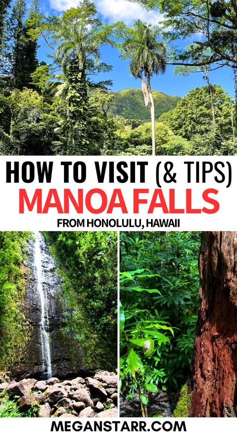 Discover how to experience the beauty of Manoa Falls on one of the best waterfall hikes on Oahu! My guide provides tips on what to expect, how to get there, and what to bring for a memorable adventure. Perfect for those seeking top things to do in Honolulu while exploring lush landscapes and cascading waterfalls. #ManoaFalls Manoa Falls Oahu, Oahu Waterfalls, Oahu Things To Do, Things To Do In Honolulu, Visiting Honolulu, Manoa Falls, Waterfall Hike, Oahu Travel, Honolulu Waikiki