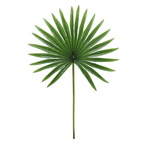 Fan Palm Leaf, Palm Leaf Plant, Artificial Palm Leaves, Fake Trees, Fan Palm, Palm Tree Leaves, Palm Plant, Aloe Plant, Silk Plants