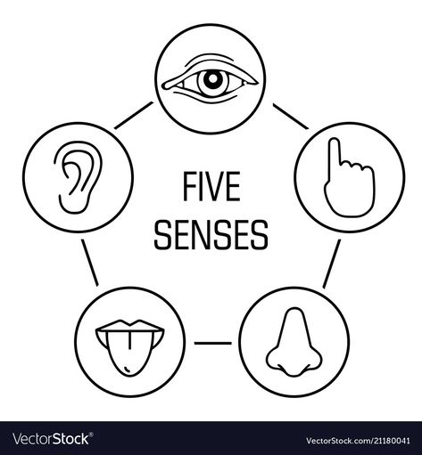 Senses Drawing, Human Senses, Symbol Drawing, Body Outline, Outline Images, Reference Art, Five Senses, Kids Study, School Curriculum