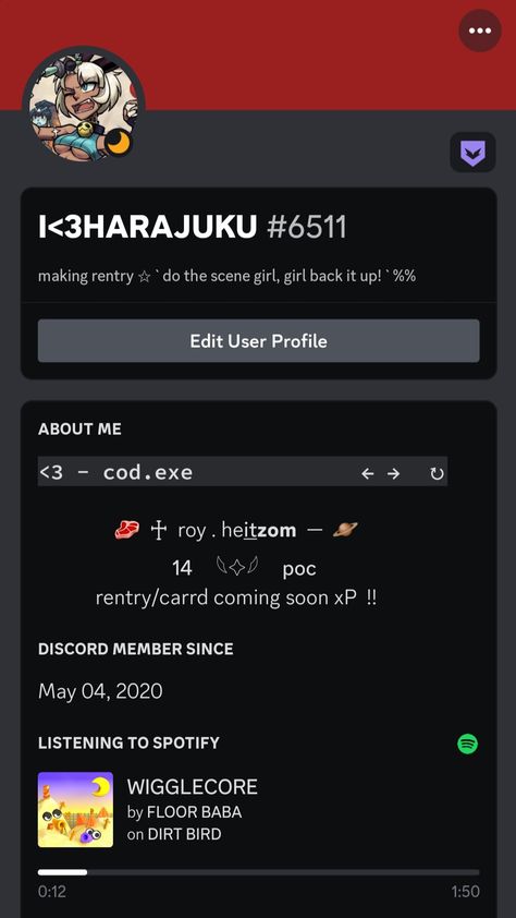 Simple Discord Bio, My Space Profile Layout, Discord Bio, Aesthetic Discord, Red Space, Scene Girls, Aesthetic Template, Anime Boyfriend, User Profile