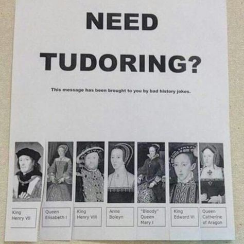 Tudor! History Puns, Historical Humor, History Jokes, History Teacher, History Nerd, History Humor, History Teachers, Collage Wall, Nerd Alert