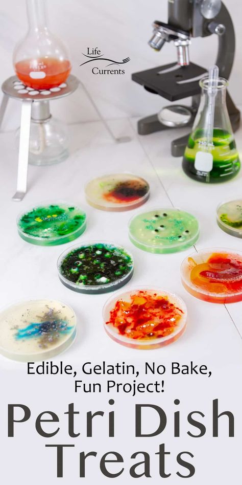 decorated gelatin petri dish treats on a white background with science equipment in the background. Diy Petri Dish Gelatin, Mad Scientist Desserts, Science Themed Baked Goods, Diy Petri Dish, Jello Petri Dish, Science Themed Party Food, Mad Scientist Cake, Chemistry Themed Food, Science Cake Pops