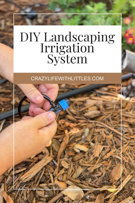 Transform Your Garden with Ease: Step-by-Step Guide to Installing Drip Irrigation for Lush Landscaping - Diy Irrigation, Drip Irrigation Kit, Lush Landscaping, Drip System, Outdoor Diy Projects, Drip Irrigation, Landscape Materials, Garden Irrigation, Different Plants