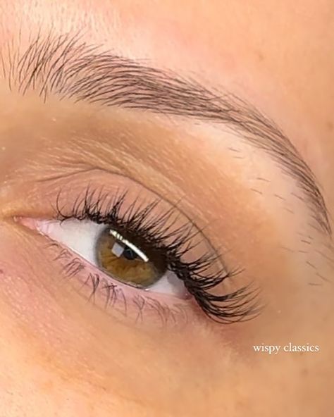 Some lash inspo for the girls who love lashes but also want to keep it natural ❤️🌹 Our Rose Signature Set and Light/Wispy Volume Set are two of our most popular services for those who are looking for the perfect balance between a natural look and a full, dark lash line. For those looking for something lighter, Classics are perfect. Wispy Classics provide extra depth and dimension while still being lightweight and natural. Finding the right lash artist to achieve your lash goals is so imp... Eyelash Extensions Styles Natural Simple, Wispy Set Lashes, Whiskey Lashes, Light Wispy Lashes, Classic Full Set Lashes, Wispy Natural Eyelash Extensions, Wispy Classic Lash Extensions, Subtle Lashes, Classic Lashes Extensions