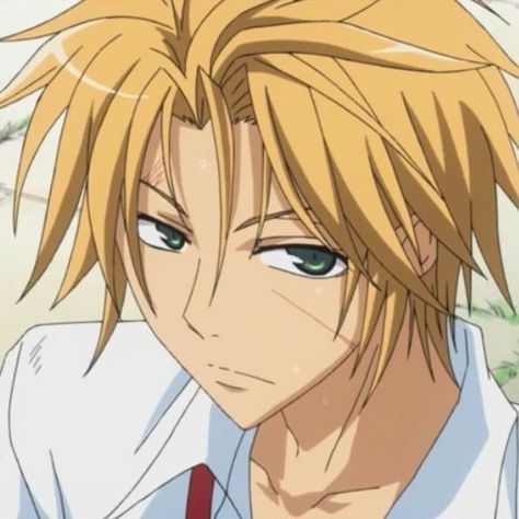 Your Biggest Fan, Maid Sama, You Love Me, Fun Games, Anime Character, Anime Icons, Blonde, Fan, Hair