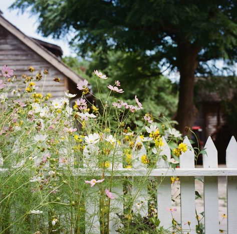 Pallet Fences, Climbing Flowers, Privacy Fence Designs, Backyard Privacy, Cottage Shabby Chic, White Picket Fence, Marco Island, Style Cottage, Cottage Gardens