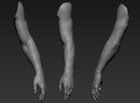 ArtStation - Hand, Andrey Gritsuk Arm 3d Reference, Arm References, Zbrush Anatomy, Arm Anatomy, Arm Model, Human Anatomy For Artists, Hand Anatomy, How To Render, Body Study