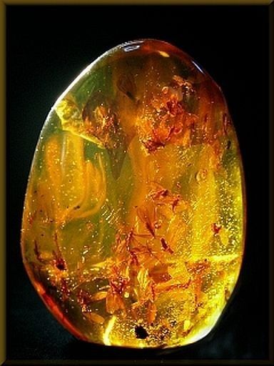 God's Glory, Spirit Art, Amber Fossils, Beautiful Rocks, Natural Amber, Mineral Stone, Amber Stone, Minerals And Gemstones, Rocks And Gems