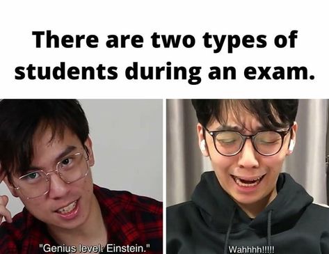 2set Violin Memes, Two Set Violin, Violin Memes, Musician Memes, Musician Jokes, Flute Problems, Twoset Violin, Studying Memes, Musician Humor