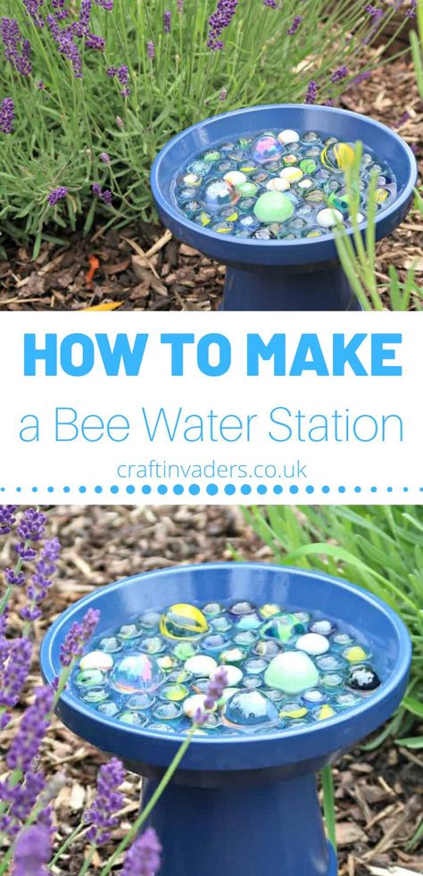 Support the bees in your garden while adding a pop of colour, with our DIY bee water station. #SaveTheBees #gardening #gardeningtips #gardenhacks #bees #attractbees #GardenPlanning #pollinators #beefriendly #wildlifegarden Bee Water Station, Diy Bee, Bee Friendly Garden, Eco Garden, Water Station, Sensory Garden, Bee Garden, School Garden, Pollinator Garden