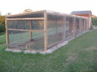 Building the ideal chicken run Diy Large Chicken Run, Building Chicken Run, Chicken Pins Diy Building, Chicken Run Roof Ideas, Covered Chicken Run Ideas, Chicken Run With Roof, Covered Chicken Run, Large Chicken Run, Reban Ayam