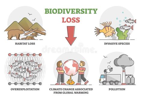 Biodiversity Loss Issues and Causes As Climate Ecosystem Problem Outline Set Stock Vector - Illustration of problem, isolated: 214124583 Habitat Loss Illustration, Biodiversity Loss Illustration, Loss Of Biodiversity, Ecological Landscape, Biodiversity Loss, Species Extinction, English Speech, Biodiversity Conservation, Habitat Destruction