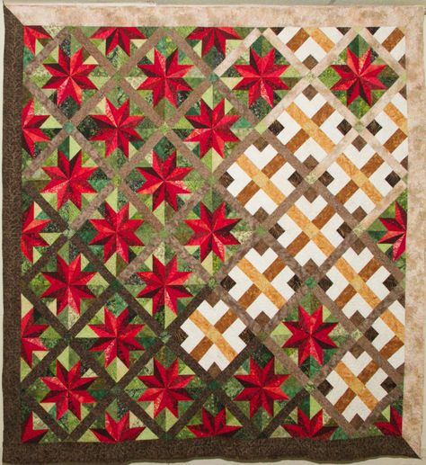 Donation Quilt by Cherokee Rose Guild Cherokee Rose, Rose Quilt, Flower Quilts, Pinwheel Quilt, Quilt Guild, Star Quilts, Wall Quilts, Christmas Quilts, Quilting Crafts