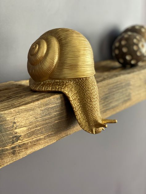 Quirky Knick Knacks, Home Knick Knacks, Snail Decor, Unusual Decor, Quirky Homeware, Home Accessories Ideas, White Moose, Brass Home Decor, Quirky Home