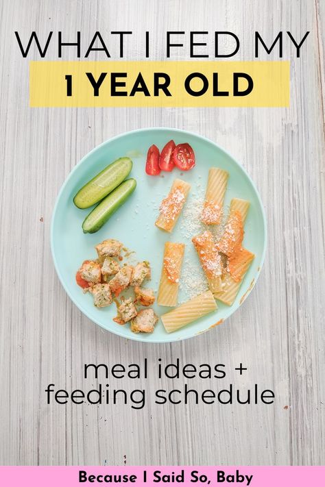 1 year old meal ideas and feeding schedule 1 Year Lunch Ideas, Blw Meals One Year Old, What To Feed A One Year Old, Baby Meals 1 Year Finger Foods, 1 And A Half Year Old Food Ideas, Dinner Ideas One Year Old, Pasta For One Year Old, What To Feed 12 Month Old Meal Ideas, Breakfast 1 Year Baby