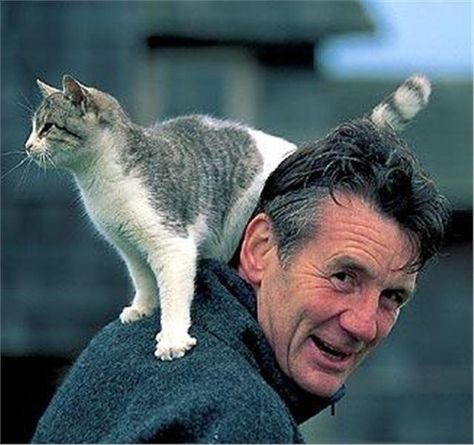 michael palin isn't just one of britain's best comedy actors, he also talks a lot. yap yap yap he goes, all day long.   and then, at night when everyone's gone to bed, he writes up a diary."    john cleese in the forward to palin's first book of his diary entries. Celebrities With Cats, Famous Cats, Men With Cats, Cat Standing, Cat Heaven, Michael Palin, Wise Man, Lovely Cat, Great Cat