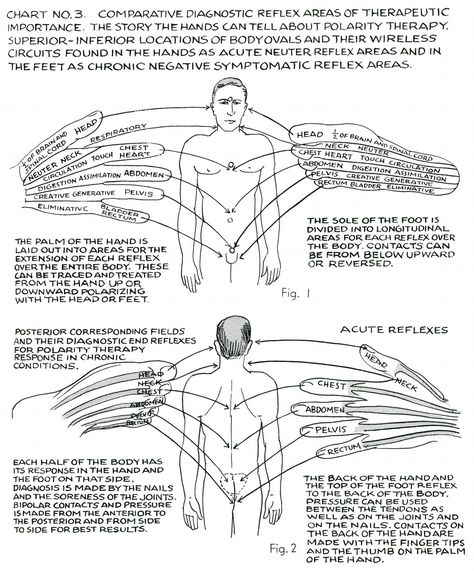 Polarity Therapy Charts 1-6, 11-13 “ Polarity... at METANOIA-WORLD Polarity Therapy, Shiatsu Massage Acupressure, Energy Healing Reiki, Spirit Science, Kuantan, Energy Healing Spirituality, Shiatsu Massage, Energy Medicine, Alternative Healing