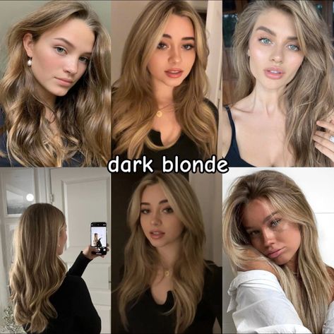 Homey Blond Hair, Light Brown Vs Dark Blonde Hair, Blonde Hair For Warm Undertones, Dirty Blonde Hair Dye Ideas, Dark Blonde Vs Light Brown, Best Hair Color For Pale Skin Green Eyes, Harvest Blonde Hair, Dark Natural Blonde Hair, Blonde Vs Brown Hair