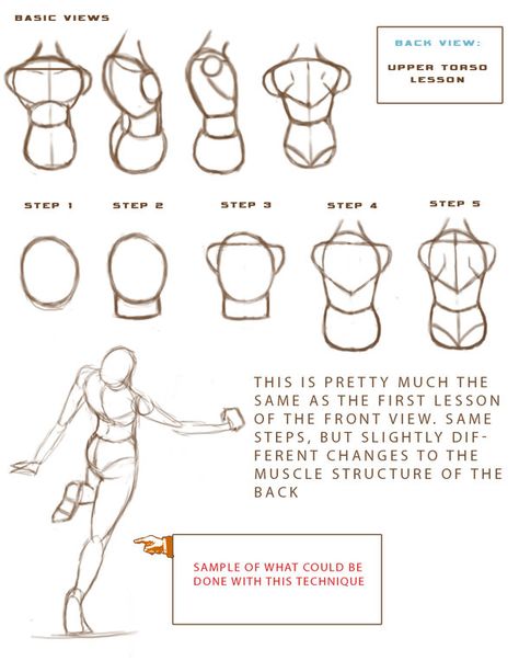 Here is Part 2 of the study guide of the back view. It's no different from the front view study guide, but I showd a few minor changes to the muscle structure at the end step. Here is lesson 1 Anatomy Guide, Figure Drawing Tutorial, Study Drawing, Drawing Anatomy, Anatomy Practice, Drawing Tutorials For Beginners, Anatomy Tutorial, Human Anatomy Drawing, Body Drawing Tutorial