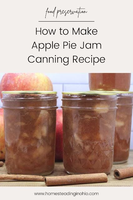 Apple Pie Jam Recipe for Canning Apple Pie Jam No Pectin, Apple Pie Jelly, Apple Cinnamon Jam, Jam With Pectin, Apple Pie In A Jar, Apple Jam Recipe, Apple Pie Jam, Pectin Recipes, Pie In A Jar