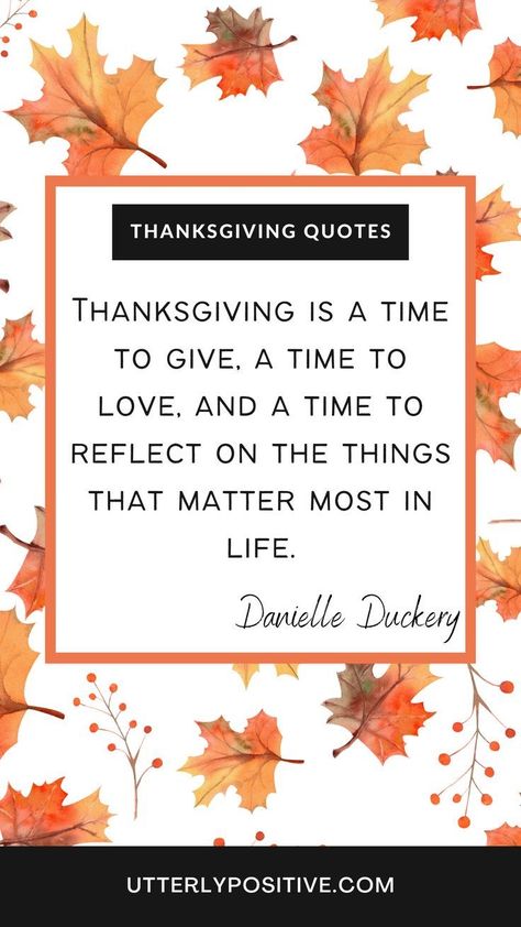 Funny Thanksgiving Quotes, Friendsgiving Quotes, Thanksgiving Quotes Family, Thanksgiving Quotes Inspirational, Thanksgiving Quotes Funny, Calendar Quotes, Fall Board, Thanksgiving Crafts Preschool, Giving Quotes