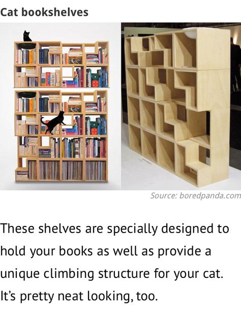 Cat Book Shelves, Cat Cubby Ideas, Cat Bookshelves, Cat Bookcase, Cat Shelves Diy Climbing Wall, Apartment Cat Ideas, Cat Bookshelf, Cat Library, Cat House Diy