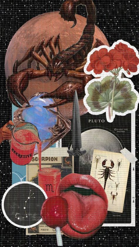 Scorpio Collage Wallpaper, Scorpio Phone Wallpaper, Scorpio Room Aesthetic, Scorpio Sign Wallpaper, Scorpio Mood Board, Astrology Wallpaper Aesthetic, Scorpio Moon Tattoo, Scorpio Vibes Aesthetic, Scorpio Collage