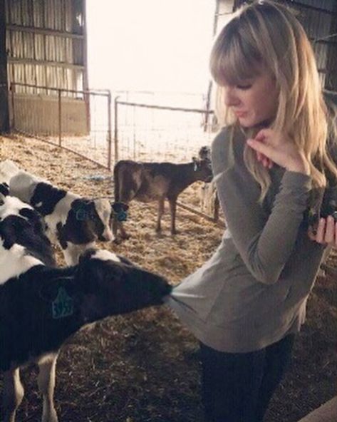 Taylor Swift Fotos, Photos Of Taylor Swift, Taylor Swift Cute, Estilo Taylor Swift, Swift Photo, Taylor Swift Funny, Rare Pictures, Long Live Taylor Swift, Swift 3