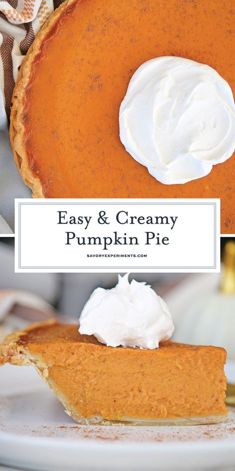 Canned Pumpkin Pie Recipe, Creamy Pumpkin Pie Recipe, Pie Recipe Easy, Creamy Pumpkin Pie, Best Pumpkin Pie Recipe, Pumpkin Pie Recipe Easy, Pumpkin Pie Spice Mix, Best Pumpkin Pie, Mini Pumpkin Pies