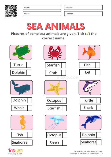 Sea Animals Worksheets for Kindergarten Sea Animals Worksheets For Preschool, Sea Animal Worksheets Preschool, Sea Animals Worksheet For Kindergarten, Sea Animal Worksheet, Water Animals Worksheets For Kids, Sea Animals Worksheets For Kids, Sea Animals Activities For Preschool, Sea Animals Activities, Animals Worksheets For Kindergarten