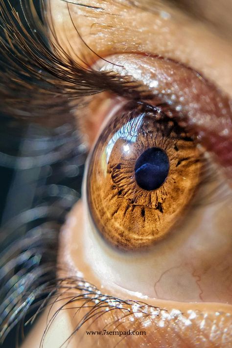 iris photography, eye photography, Photos Of Eyes Beautiful, Eyes Closeup Photography, Art Photo Reference Portrait, Close Up Of An Eye, Close Up Texture Photography, Photography Close Up, Eyes Photography Aesthetic, Portrait Close Up, Eyes Close Up