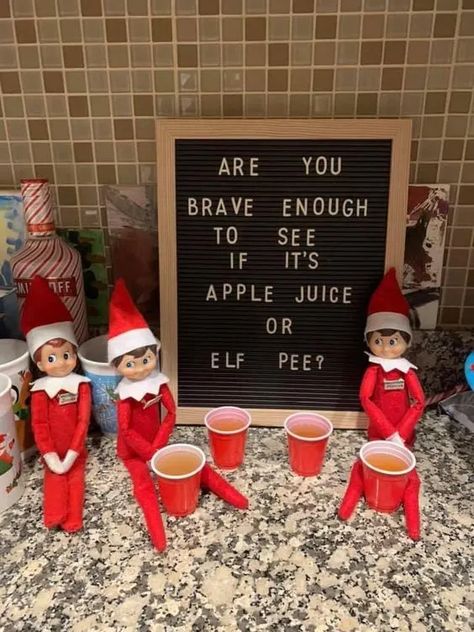 Elf Ideas Easy, Awesome Elf On The Shelf Ideas, Elf Magic, Elf Activities, Xmas Elf, Elf Antics, Elf Fun, Elf On The Shelf Ideas, Shelf Ideas