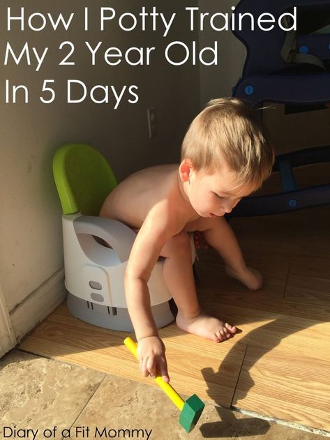 Diary of a Fit Mommy | How I Potty Trained My 2 Year Old Son in 5 Days Pinned by freebies-for-baby.com #baby #babyhacks #pottytraining #babydiy Potty Training Girls 2 Year, Potty Training Rewards, Diary Of A Fit Mommy, Potty Training Girls, Potty Training Boys, Potty Training Chart, Potty Time, Potty Train, Potty Training Tips