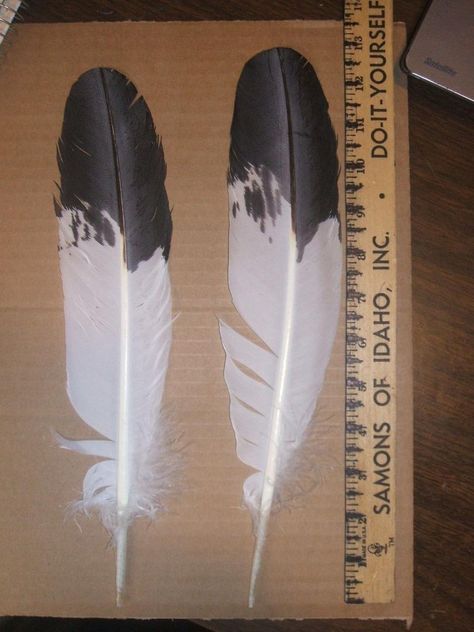 Native American Imitation Immature Golden Eagle Tail Feathers Powwow Roach | #1879485944 Golden Eagle Feather Tattoo, Eagle Feather Drawing, Golden Eagle Feather, Eagle Feather Tattoos, Feathers Tattoo, Rope Tattoo, Know Your Power, Eagle Mask, Two Feathers