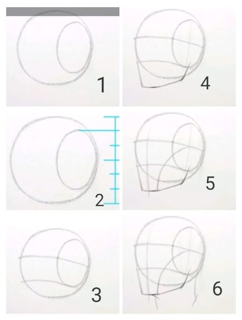 Face Anatomy Drawing Practice, Human Face Tutorial, Head Drawing Proportions, Guidelines For Drawing Faces, Face Drawing Method, Face Portions Drawing, Facial Porpotion Drawing, How To Draw Head And Face, How To Draw Heads In Different Angles Step By Step