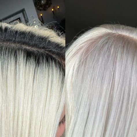 Blonde Solutions on Instagram: "💁‍♀️ Scalp bleaching doesn’t have to be high maintenance! 💁‍♀️ YUP @katvonblonde SAID IT!!!! Read down below ⬇️ to hear more about it!  Who says you have to touch up your scalp bleach every 4 to 6 weeks? 🤔  Going longer just means more time and money being put into your blonding session. With the right techniques and products, you can rock a clean blonde look for longer without all the extra upkeep.  By using a high-quality bleach and taking good care of your scalp and hair, you can extend the time between touch-ups and still maintain a gorgeous blonde hue. Don’t be afraid to experiment and find what works best for you and your hair!  So next time you’re due for a touch-up, remember that you can go a little longer and still rock that beautiful blonde look Scalp Bleach Blonde, Scalp Bleach, Clean Blonde, High Maintenance, Bleach Blonde, Rock A, Platinum Blonde, Who Said, Be Afraid