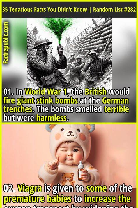 01. In World War 1, the British would fire giant stink bombs at the German trenches. The bombs smelled terrible but were harmless. #ww1 #worldwar #battle #history #infant #disease #health #fitness #baby #toddler #care British History Facts, Fire Giant, Tomb Of The Unknown Soldier, Fire Giants, Fact Republic, Unknown Soldier, Trivia Facts, Facts You Didnt Know, The Guard