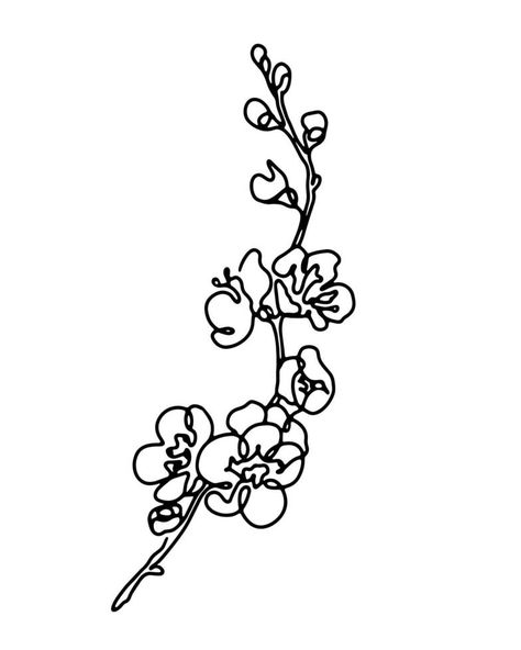 Cherry blossom branch abstract line art drawing, sprimg sakura bloom hand drawn monochrome outline vector illustration Cherry Blossom Line Art, Cherry Blossom Drawing, Sakura Bloom, Sakura Art, Blossom Branch, Cherry Blossom Branch, Line Art Drawing, Cherry Blossom Tattoo, Blossom Tattoo