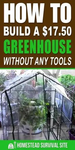 How to Build a $17.50 Greenhouse Without Any Tools Diy Mini Greenhouse For Winter, Diy Mini Greenhouse Cheap, Mini Greenhouse Diy, Diy Greenhouse Cheap, Diy Mini Greenhouse, Diy Greenhouses, Gardening Knowledge, Gardening Greenhouse, Homemade Greenhouse