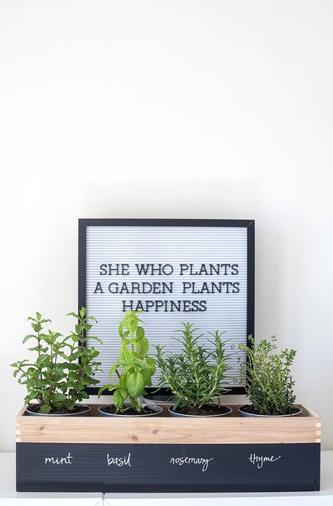 Growing Herbs At Home, Herb Garden Boxes, Herb Garden Planter, Small Herb Gardens, Outdoor Herb Garden, Planter Diy, Diy Herb Garden, Garden Planter Boxes, Kitchen Herbs